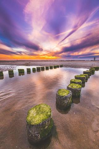 Strandhotel Westduin fotoÄŸrafÄ±