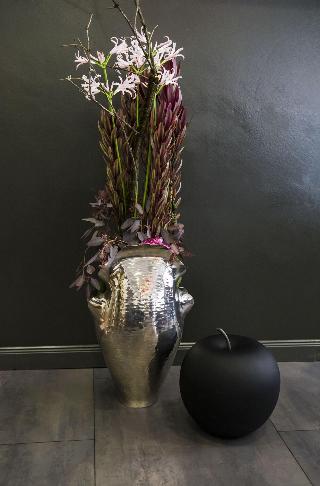 Mirabell fotoÄŸrafÄ±