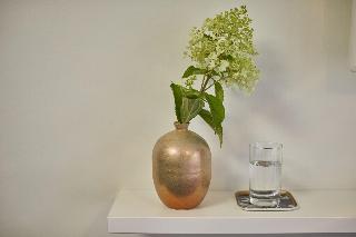 Mirabell fotoÄŸrafÄ±