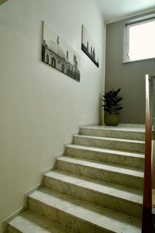 Metropol fotoÄŸrafÄ±