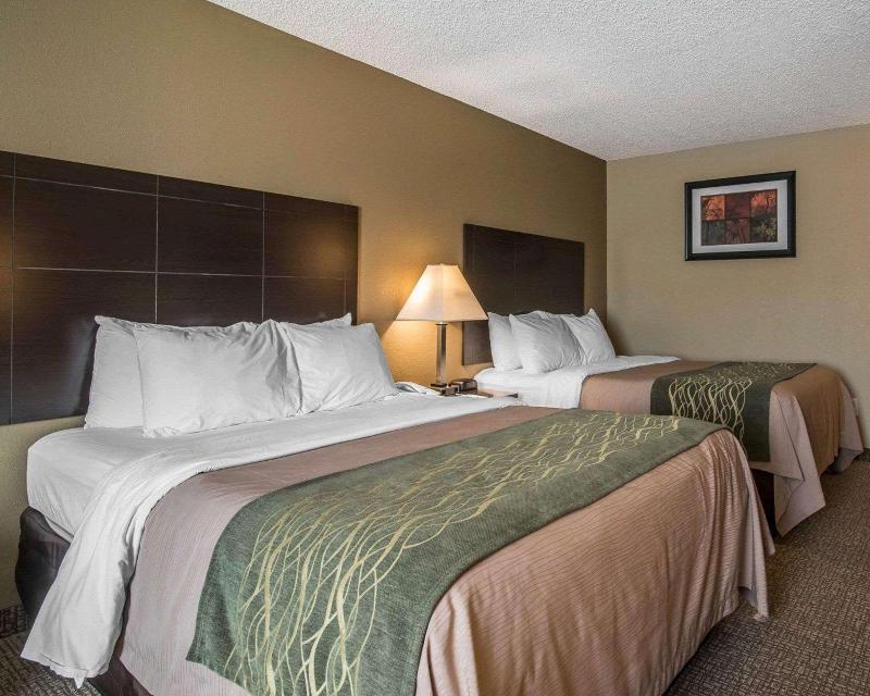 Comfort Inn Saugerties - Oda
