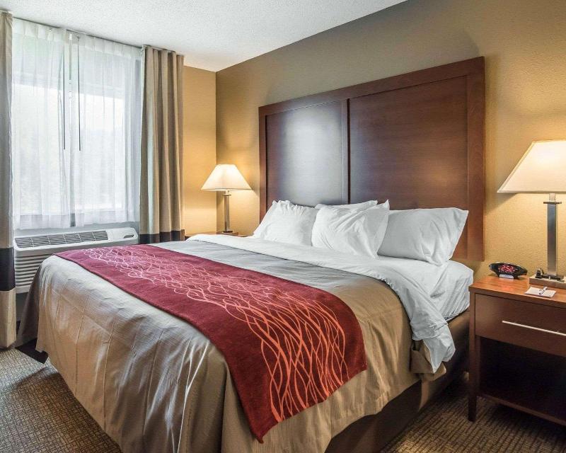 Comfort Inn Saugerties - Oda