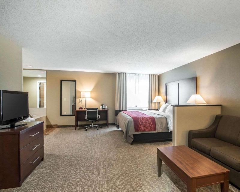 Comfort Inn Saugerties - Oda