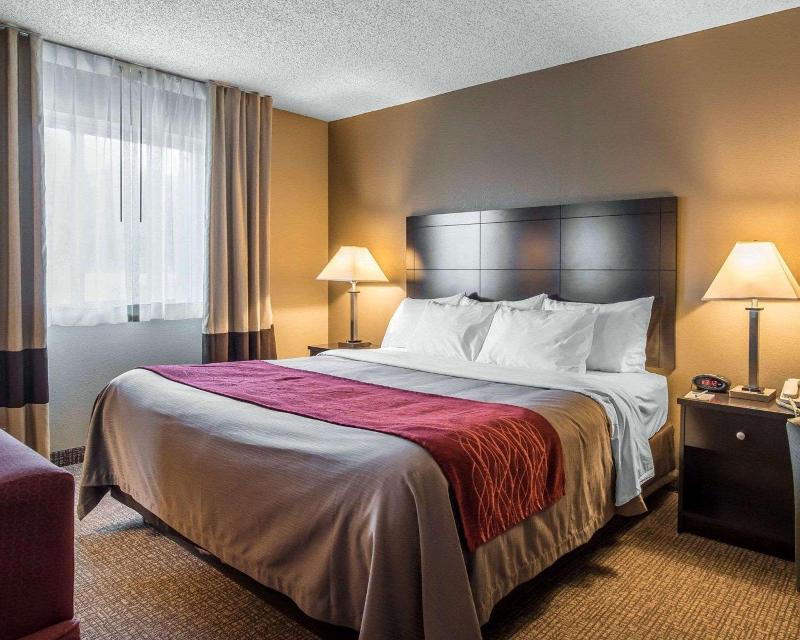 Comfort Inn Saugerties - Oda