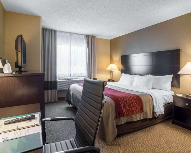 Comfort Inn Saugerties - Oda