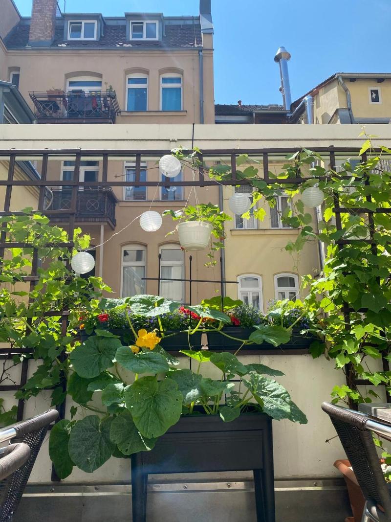 Burghotel - Genel