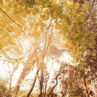 Jesmond Dene House fotoÄŸrafÄ±