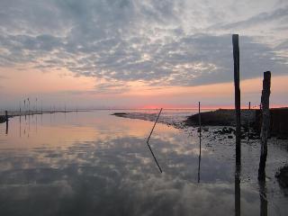 Deichhotel Grube fotoÄŸrafÄ±