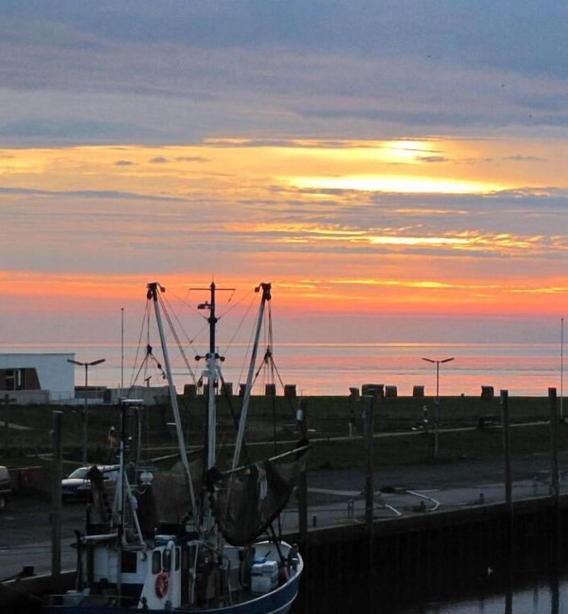 Deichhotel Grube - Plaj