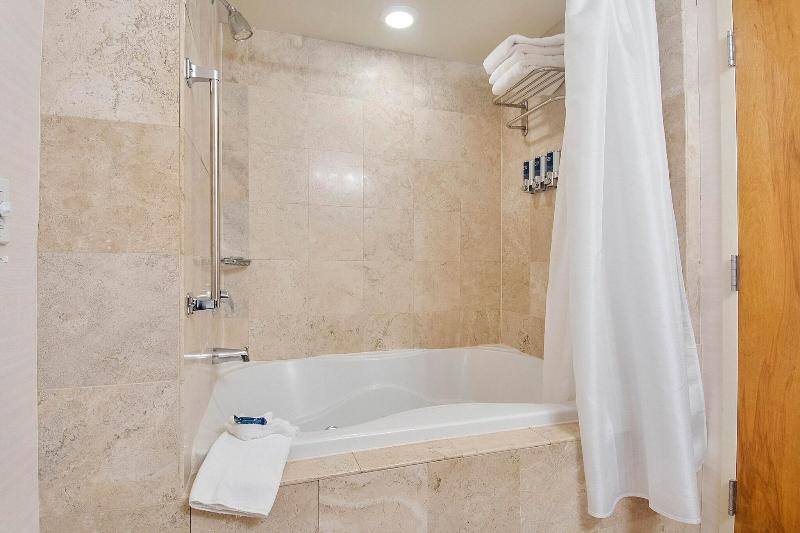 Best Western Premier Plainview-Long Island Hotel - Oda