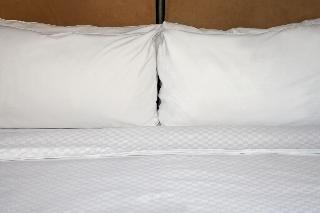 Best Western Premier Plainview-Long Island Hotel fotoÄŸrafÄ±