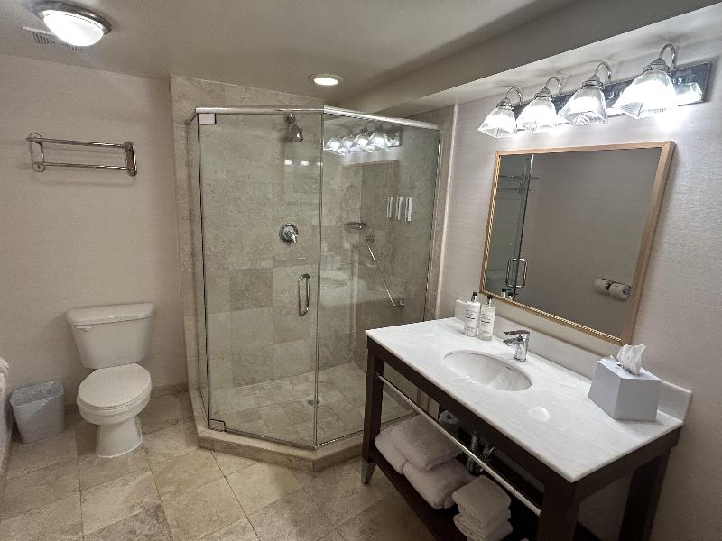 Best Western Premier Plainview-Long Island Hotel - Oda