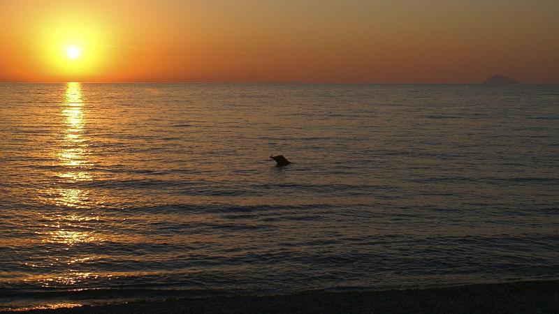 Nettuno Beach - Plaj