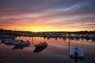 Baron's Cove Inn fotoÄŸrafÄ±