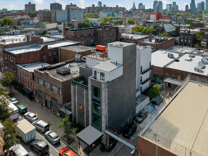 Condor Brooklyn - Genel