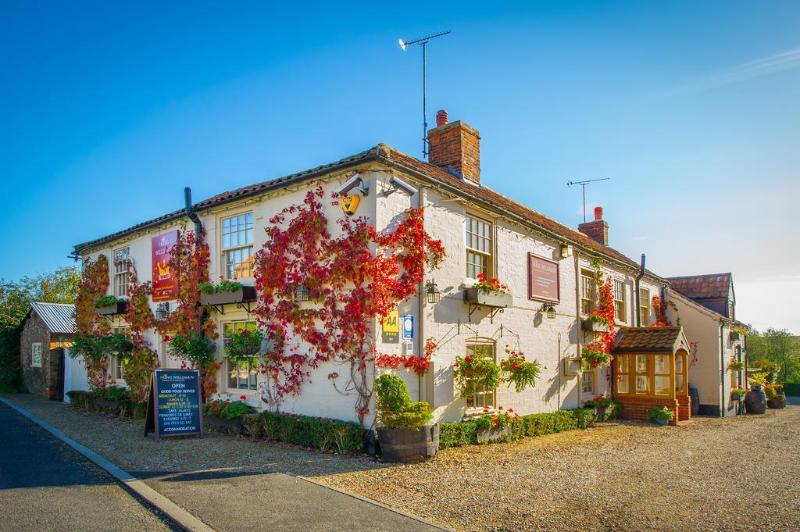 The King William IV - Genel