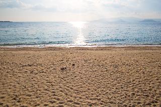 Marine Dream fotoÄŸrafÄ±