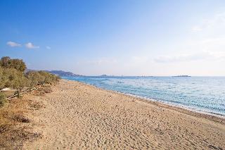 Marine Dream fotoÄŸrafÄ±