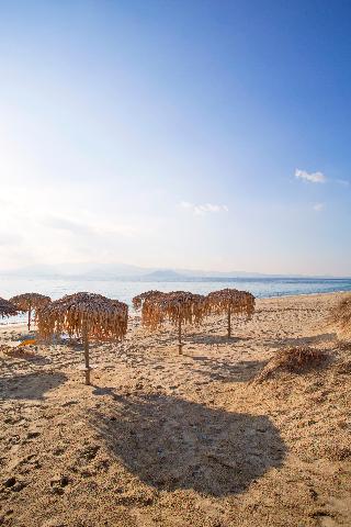 Marine Dream fotoÄŸrafÄ±