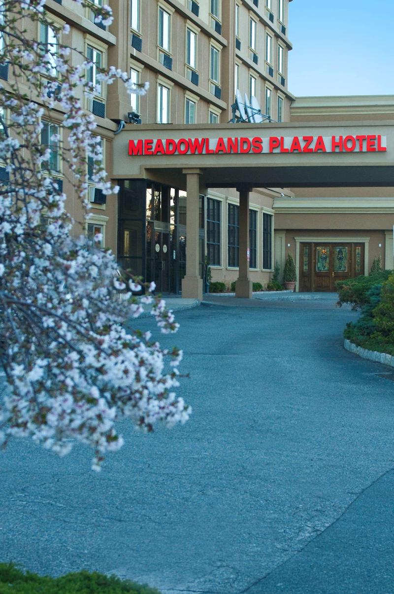Meadowlands Plaza - Havuz