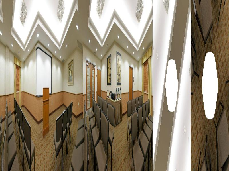 Holiday Inn Express & Suites Long Island-East End - Toplantı