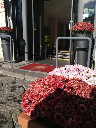 Leopardi Napoli fotoÄŸrafÄ±