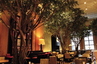 Four Seasons New York fotoÄŸrafÄ±