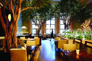 Four Seasons New York fotoÄŸrafÄ±