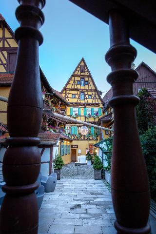 Hezelhof fotoÄŸrafÄ±