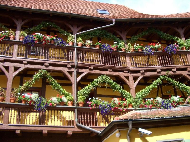 Hezelhof - Teras