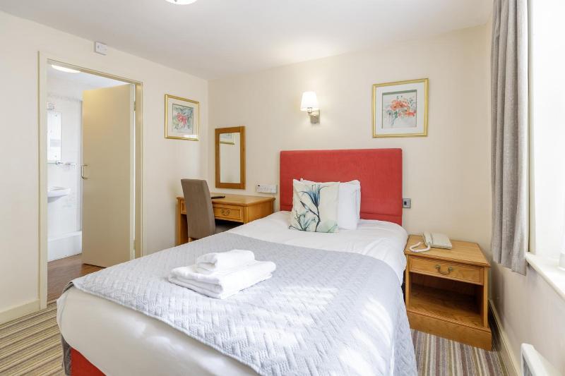 Swan Revived - Genel
