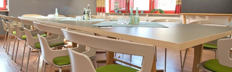 Avenon Privat-Hotel Am Steinberg - Toplantı