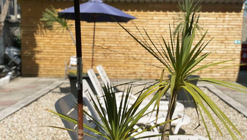 Magnuson Hotel Sandy Lodge Newquay - Teras