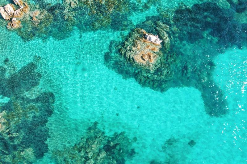 Hotel Pitrizza, a Luxury Collection Hotel, Costa - Genel