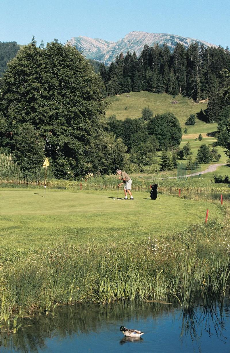 Golf & Alpin Wellness Resort Hotel Ludwig Royal - Genel