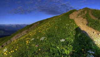 Golf & Alpin Wellness Resort Hotel Ludwig Royal fotoÄŸrafÄ±