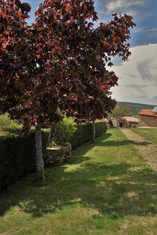Moinhos Da Tia Antoninha fotoÄŸrafÄ±