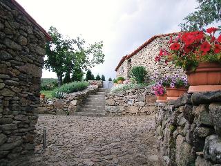 Moinhos Da Tia Antoninha fotoÄŸrafÄ±
