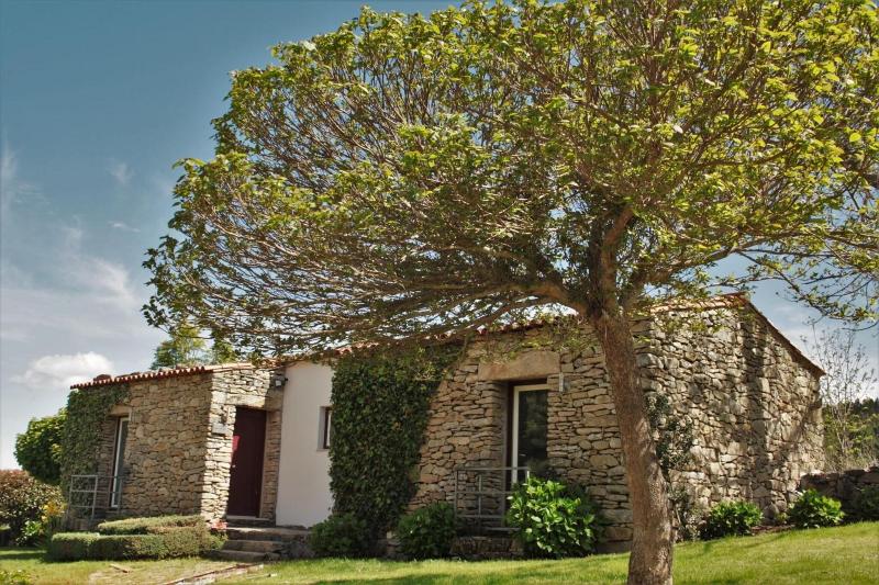 Moinhos Da Tia Antoninha - Genel