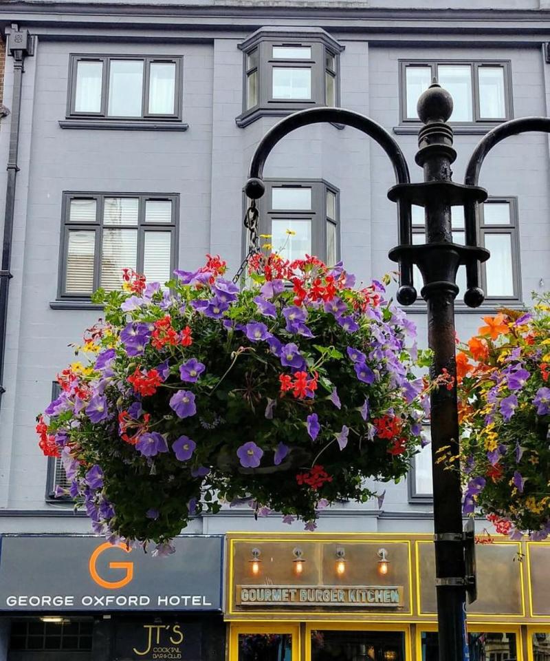 George Oxford Hotel - Genel