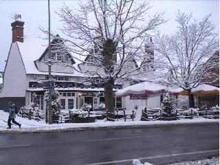 The Old Black Horse - Inn fotoÄŸrafÄ±