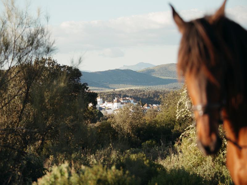Finca la Bobadilla, Leading Hotels of the World - Genel
