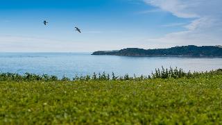 The Carlyon Bay fotoÄŸrafÄ±
