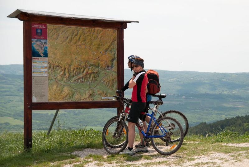 Skiper Rezidencija - Aktivite
