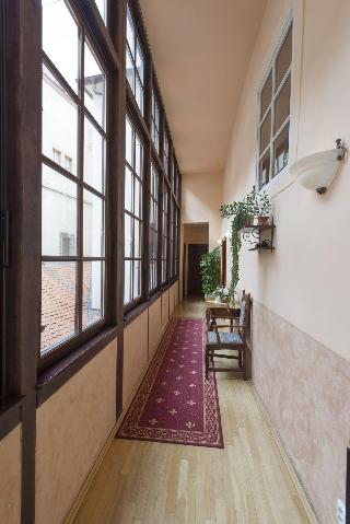 Cerny Slon fotoÄŸrafÄ±