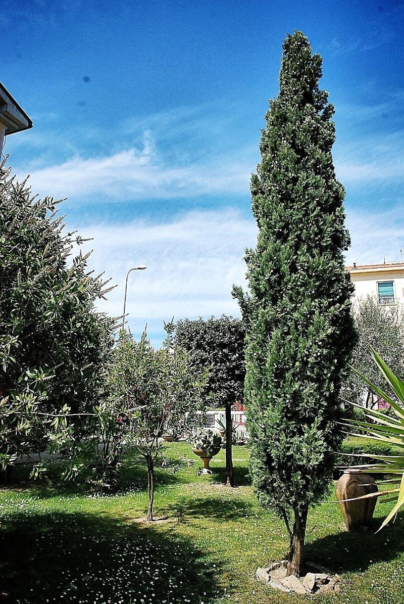 Residence Il Caminetto - Genel