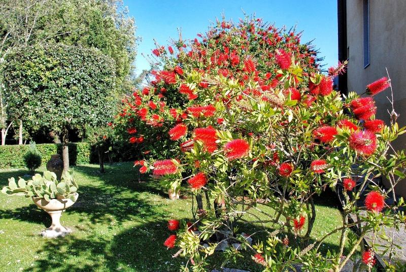 Residence Il Caminetto - Genel