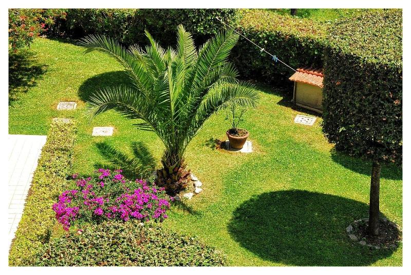 Residence Il Caminetto - Genel