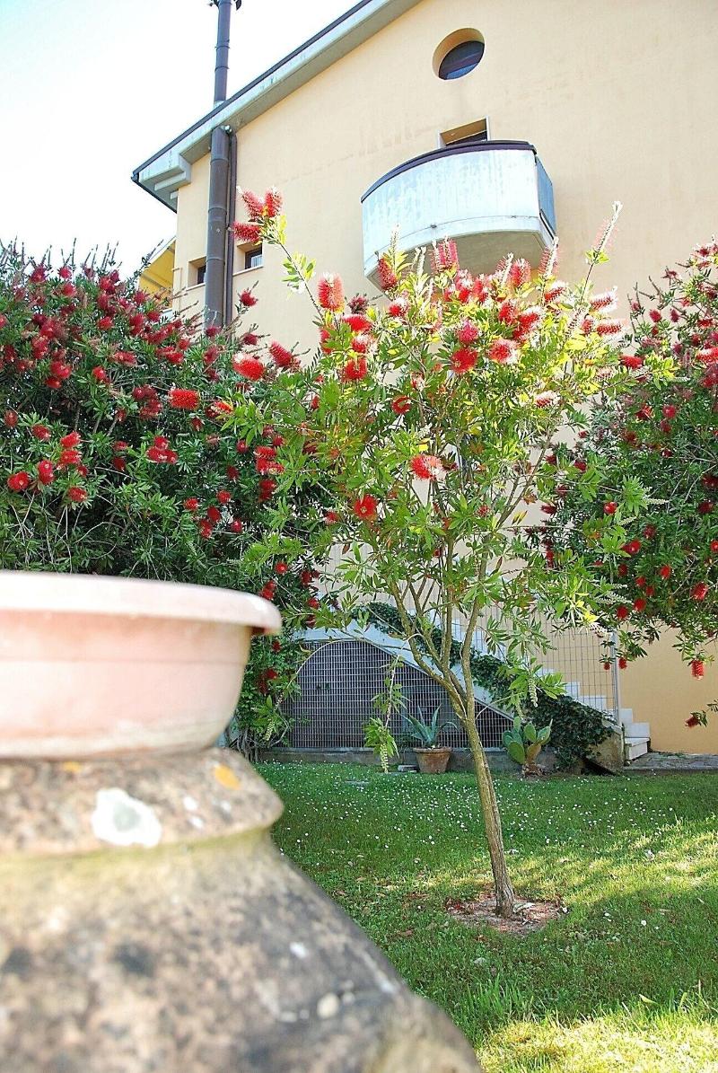 Residence Il Caminetto - Genel