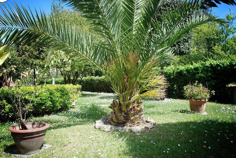 Residence Il Caminetto - Genel